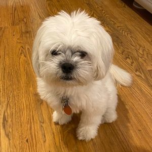 Meet your Posher, Tina